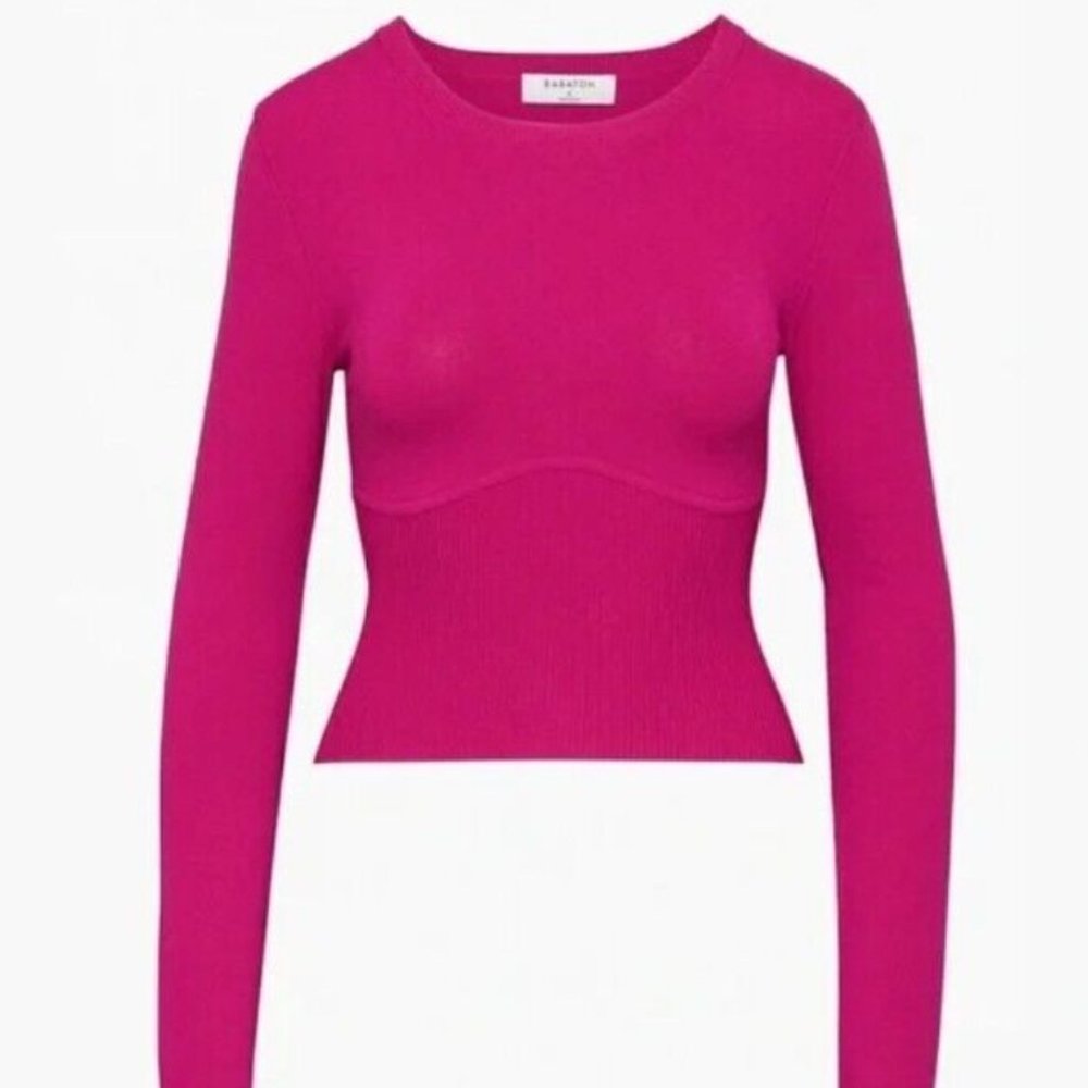 Aritzia Babaton Sculpt Knit Empire Longsleeve Corset Sweater in Granita Pink
